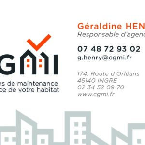 Cartes de Visite - Lot de 250 ex