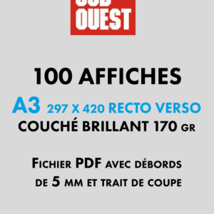 AFFICHES A3 par 100 ex