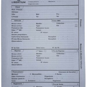 Dossiers LIBERTIUM -- GRIS -- par 100 ex