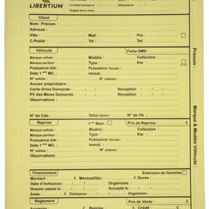 Dossiers LIBERTIUM -- JAUNE -- par 100 ex