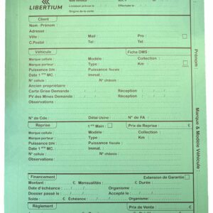 Dossiers LIBERTIUM -- VERT -- par 100 ex
